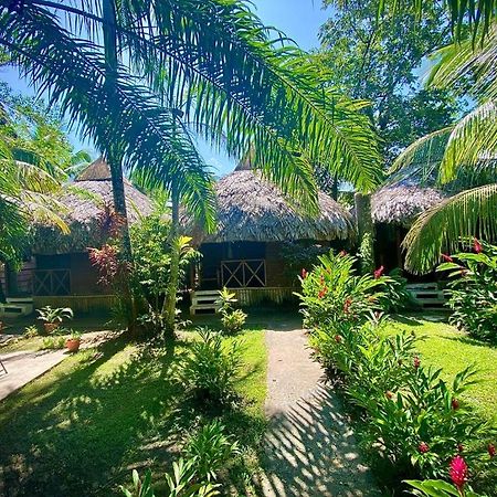 Lívingston Casa De La Iguana旅舍 外观 照片