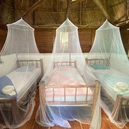 Lívingston Casa De La Iguana旅舍 外观 照片