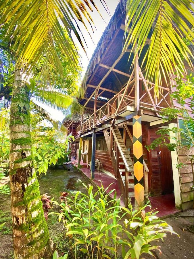 Lívingston Casa De La Iguana旅舍 外观 照片
