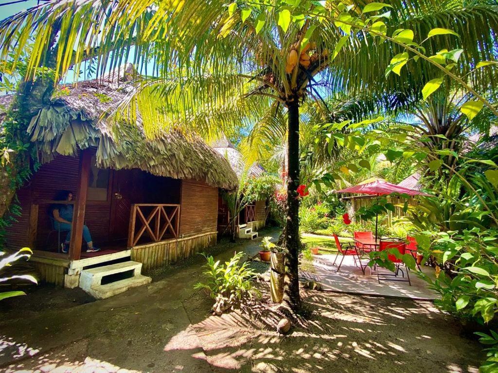 Lívingston Casa De La Iguana旅舍 外观 照片