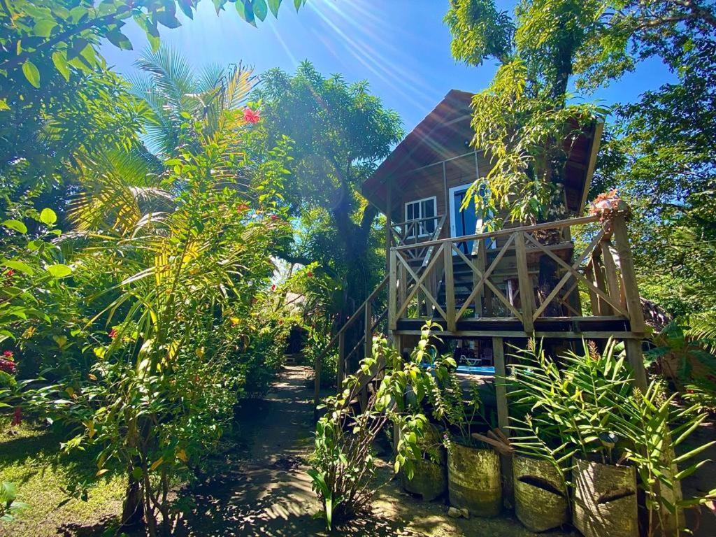 Lívingston Casa De La Iguana旅舍 外观 照片