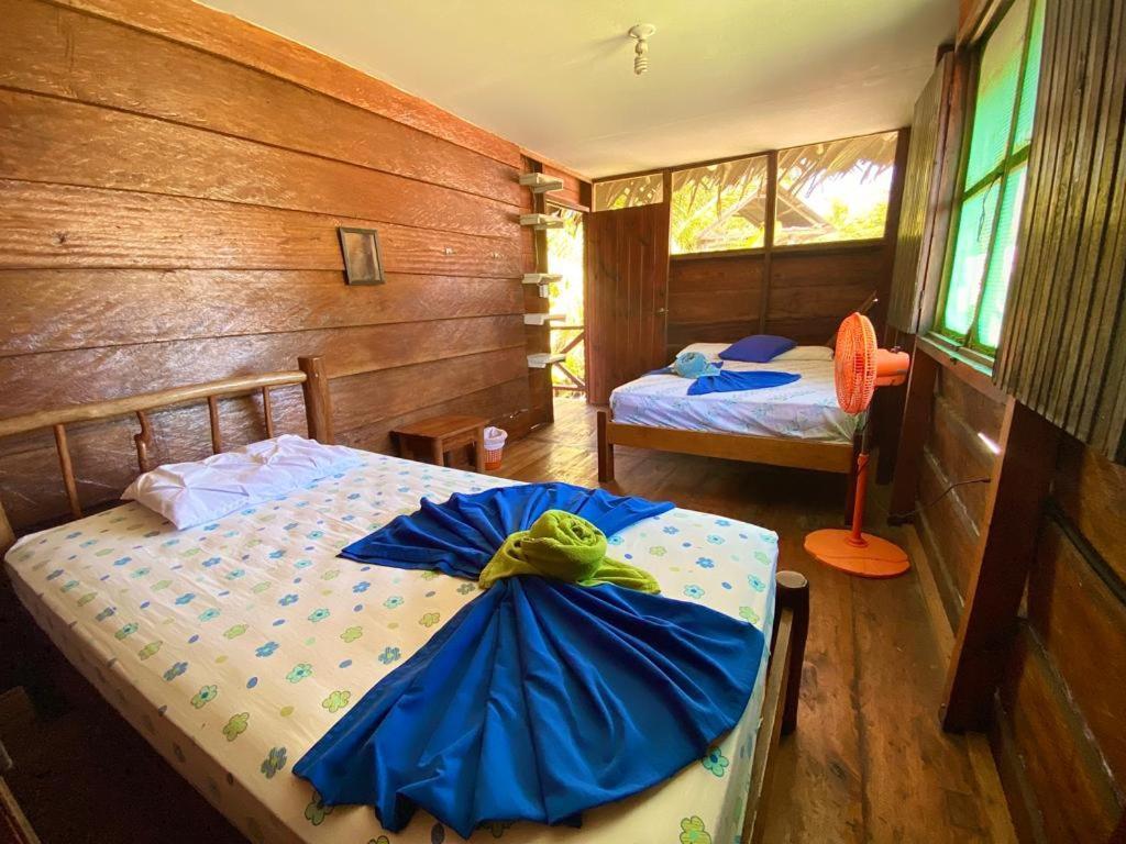 Lívingston Casa De La Iguana旅舍 外观 照片
