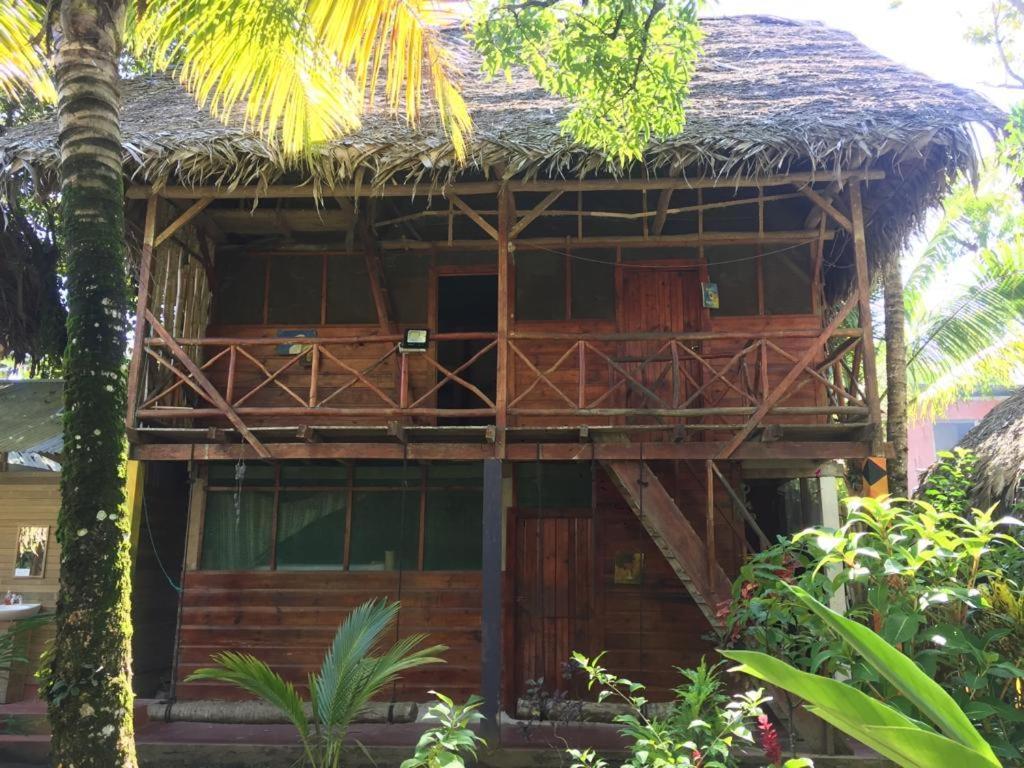 Lívingston Casa De La Iguana旅舍 外观 照片