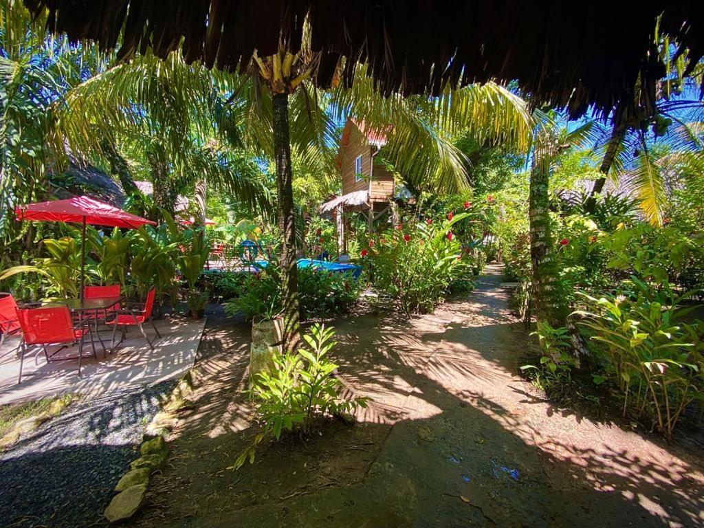 Lívingston Casa De La Iguana旅舍 外观 照片