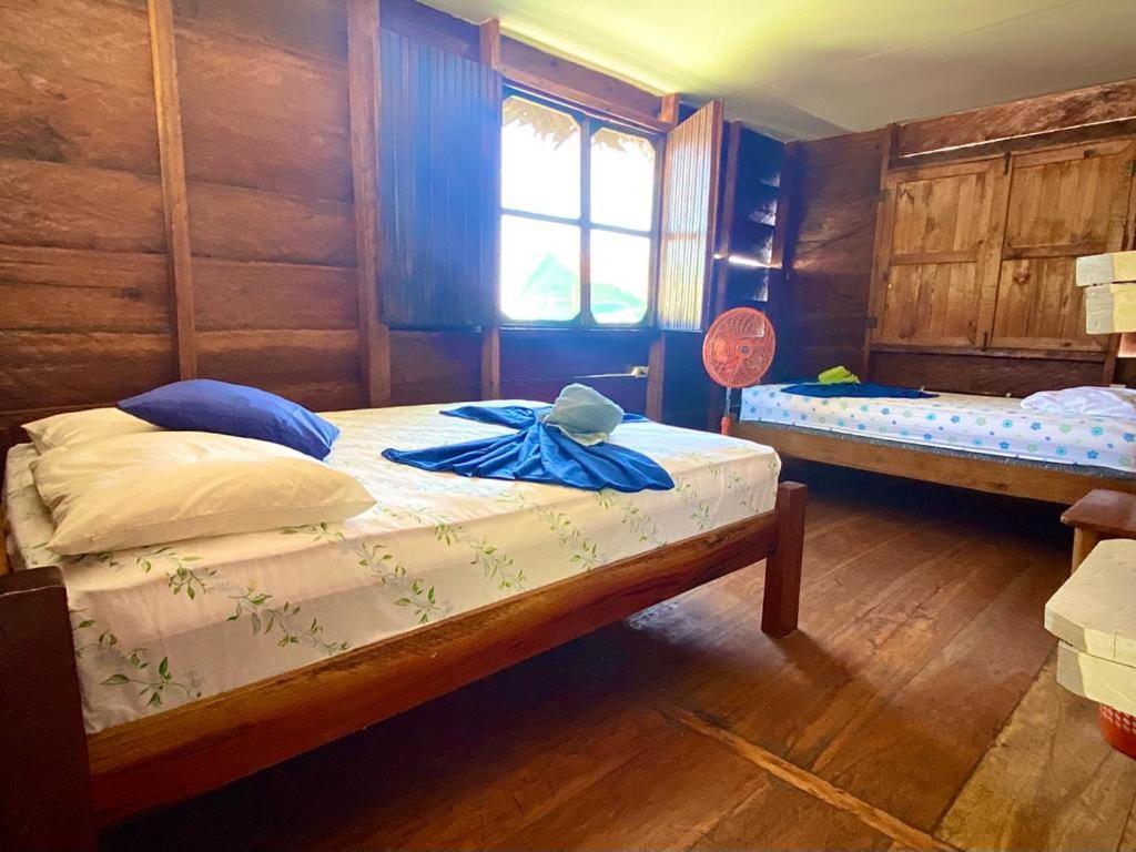 Lívingston Casa De La Iguana旅舍 外观 照片