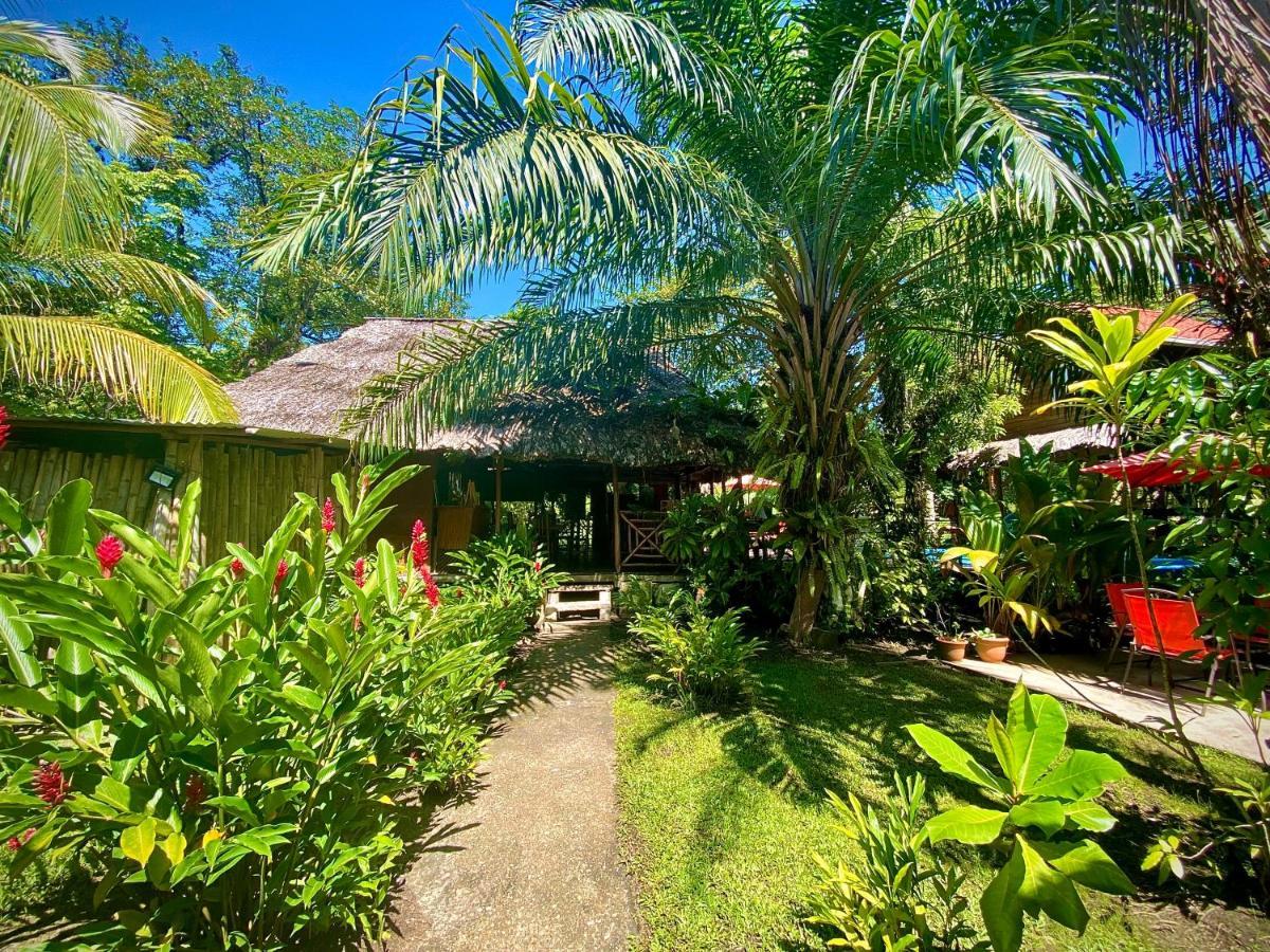 Lívingston Casa De La Iguana旅舍 外观 照片
