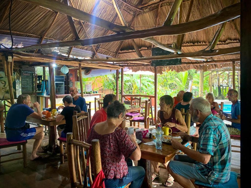 Lívingston Casa De La Iguana旅舍 外观 照片