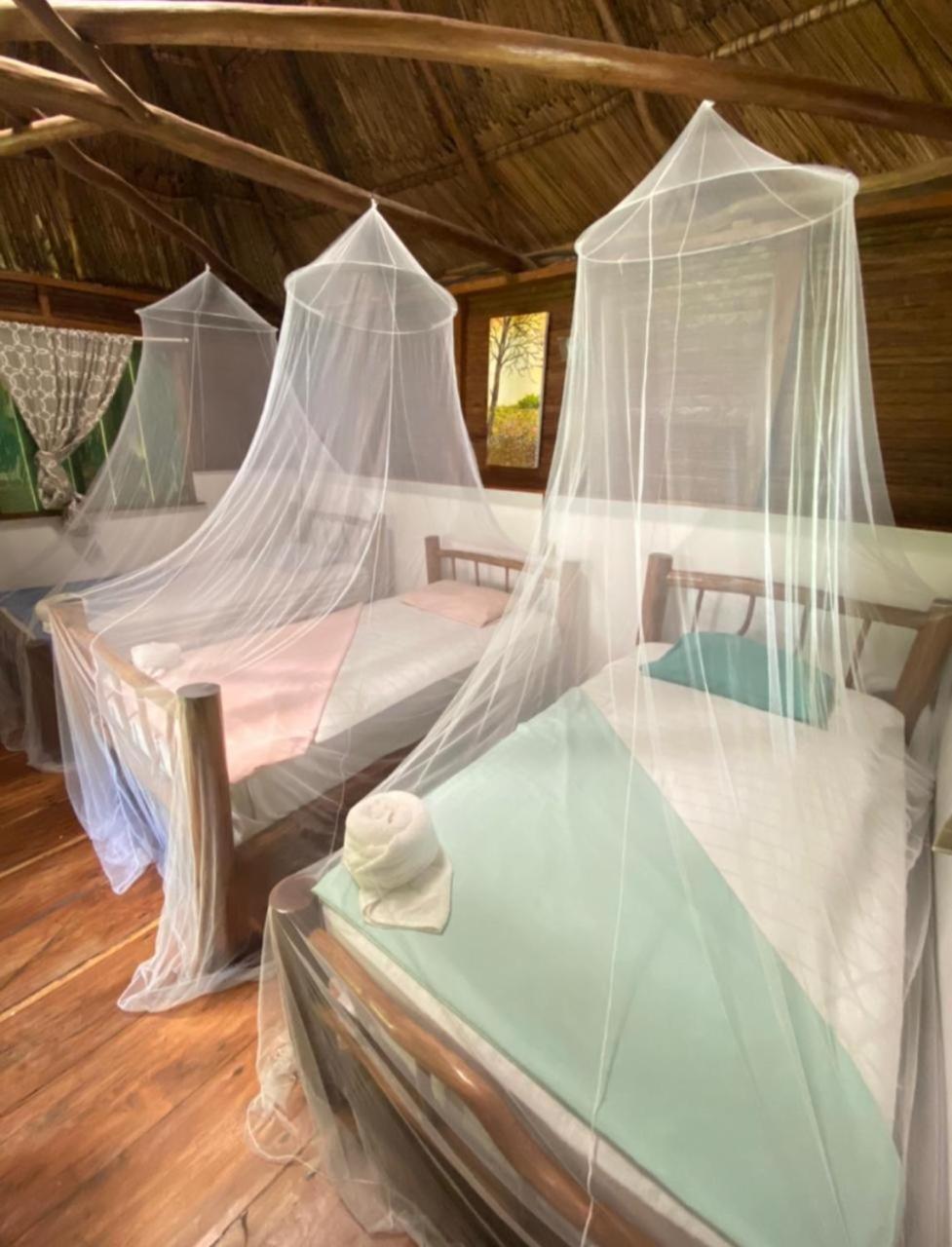 Lívingston Casa De La Iguana旅舍 外观 照片