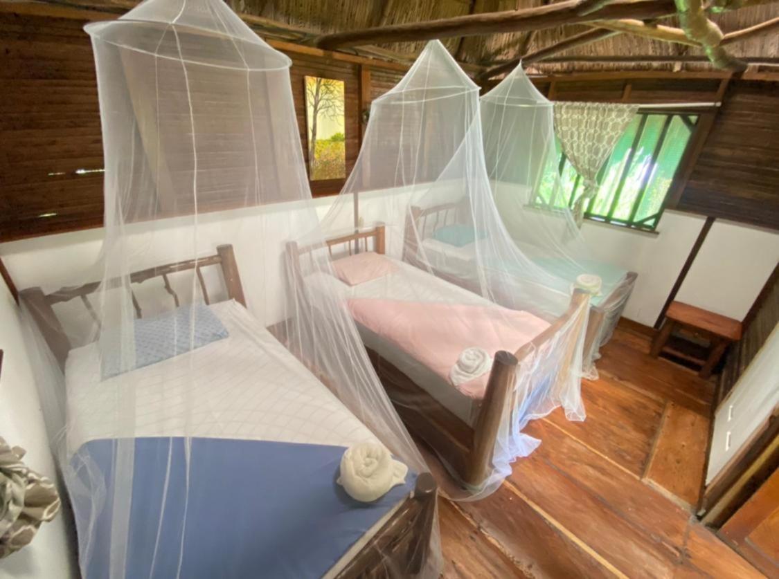 Lívingston Casa De La Iguana旅舍 外观 照片