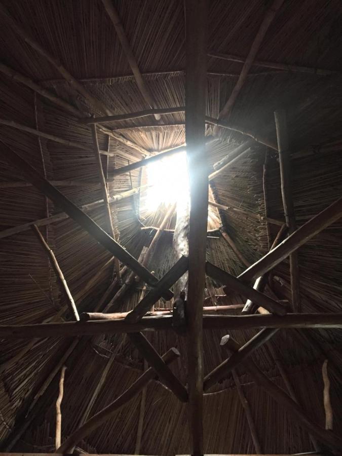 Lívingston Casa De La Iguana旅舍 外观 照片