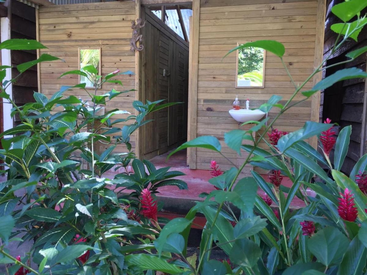 Lívingston Casa De La Iguana旅舍 外观 照片