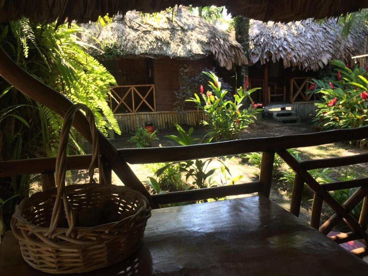 Lívingston Casa De La Iguana旅舍 外观 照片