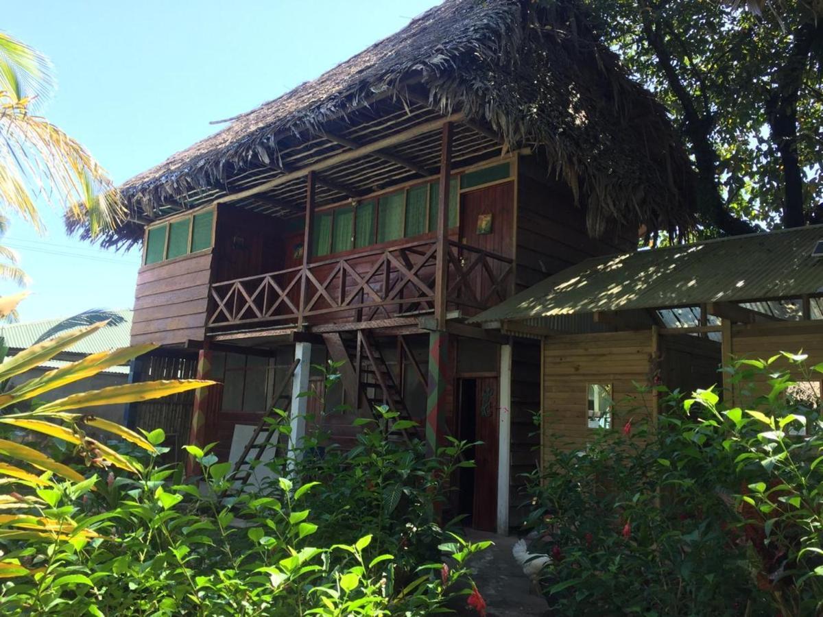 Lívingston Casa De La Iguana旅舍 外观 照片